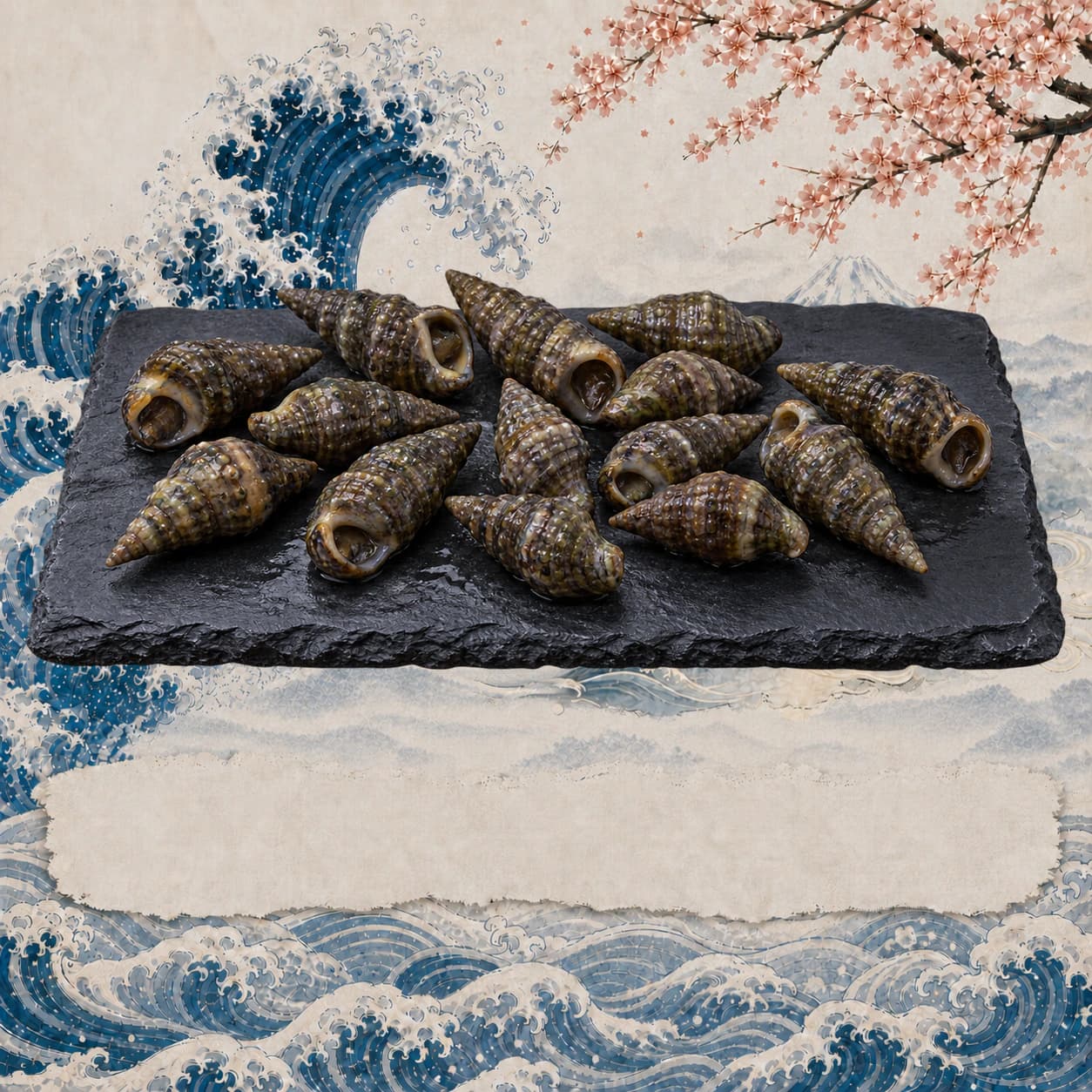 Live Needle Shell / Chut Chut, 活尖螺