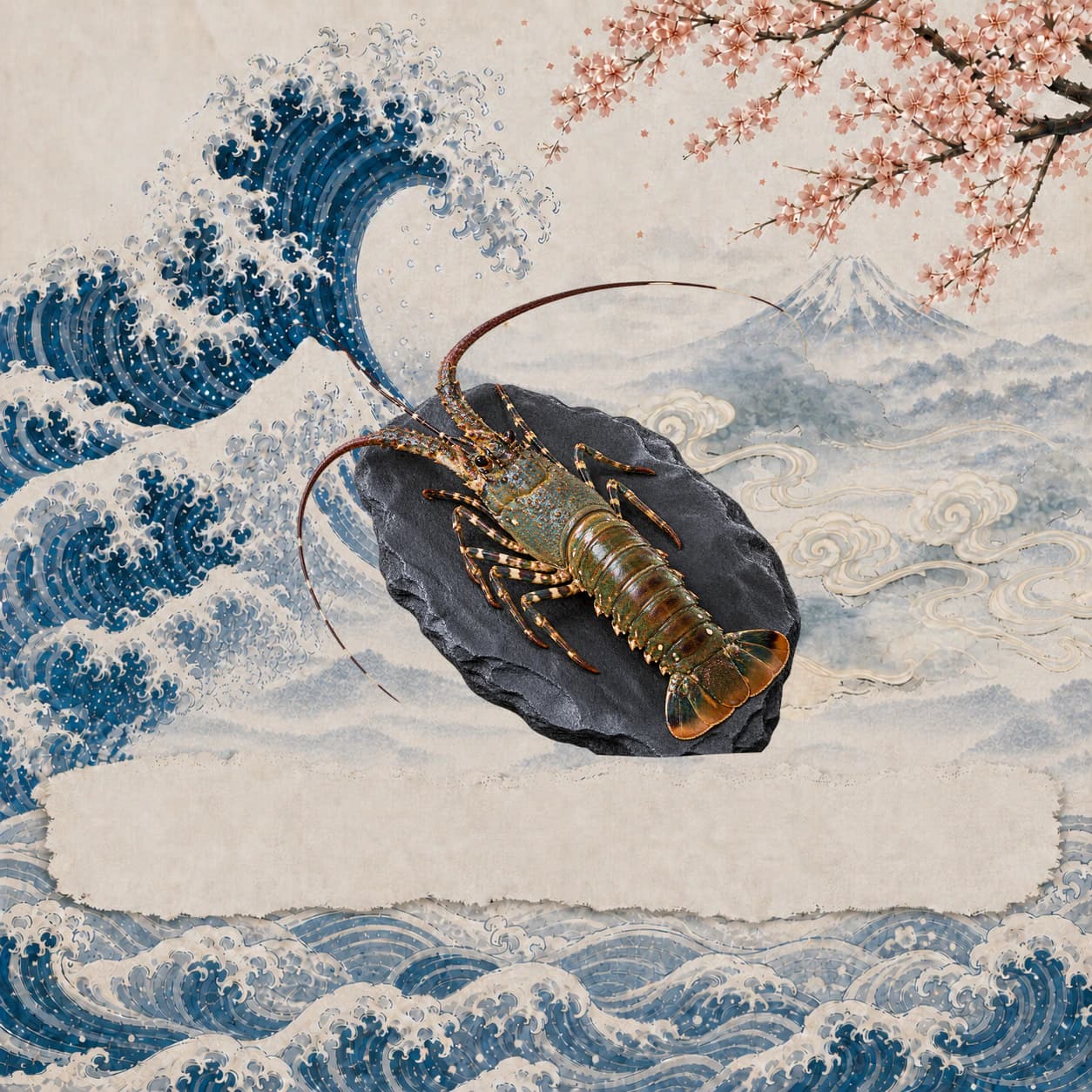 Live Tropical Lobster, 活龍蝦