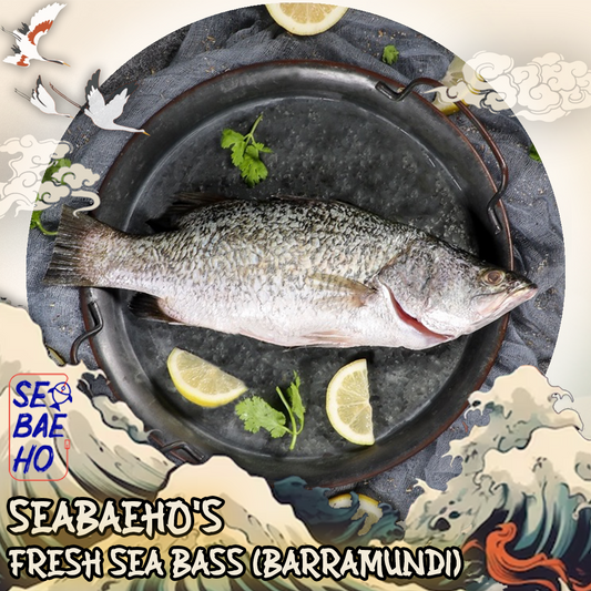 Seabass (Barramundi)  金目鲈