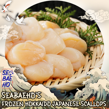 Hokkaido Japanese Scallop 日本扇贝
