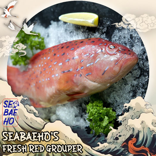 Red Grouper 红石斑鱼 (Whole / Fillet / Sliced)