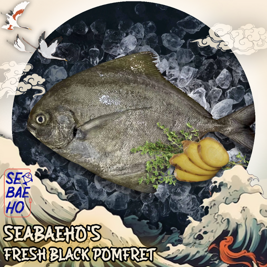 Black Pomfret 黑鲳